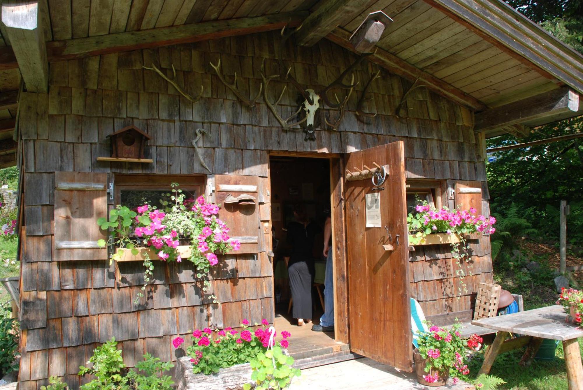 Gasthaus Steinberg Westendorf Exteriér fotografie