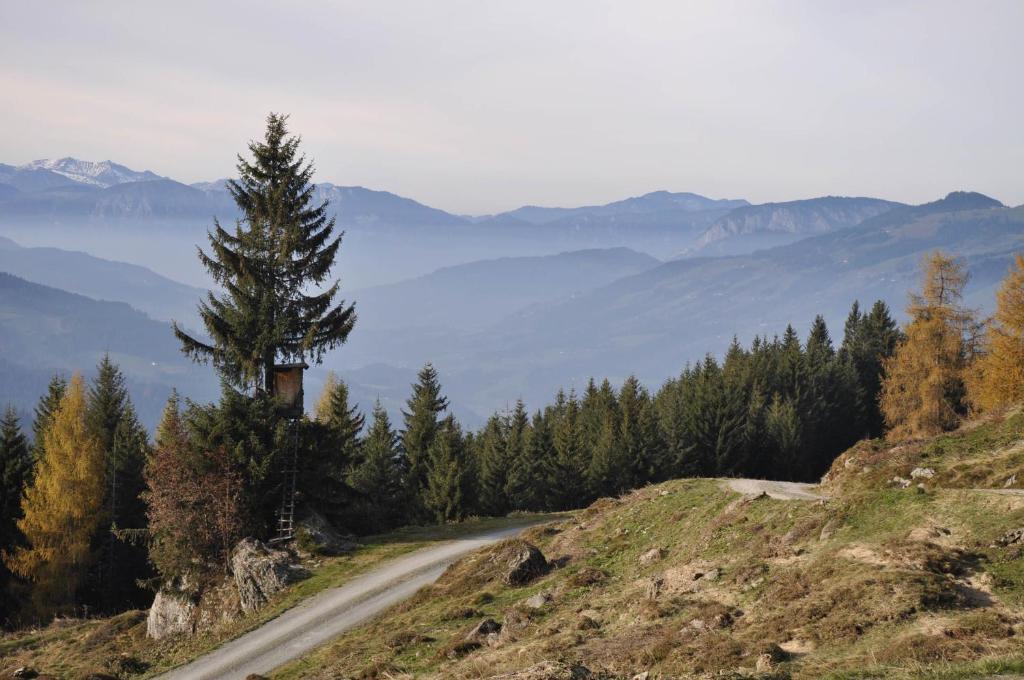 Gasthaus Steinberg Westendorf Exteriér fotografie